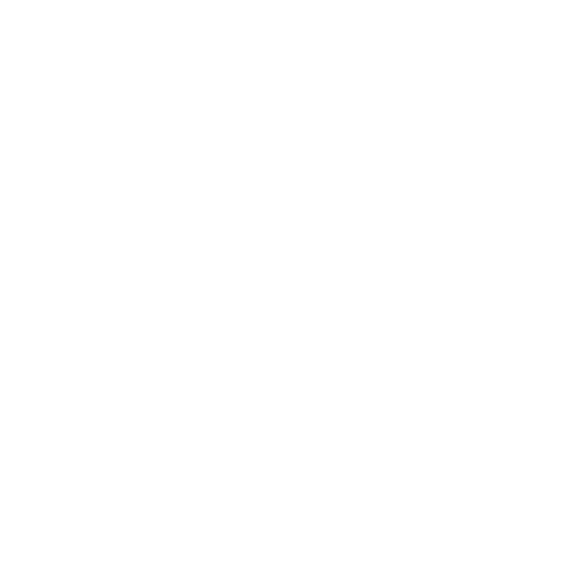 Design in Action icon